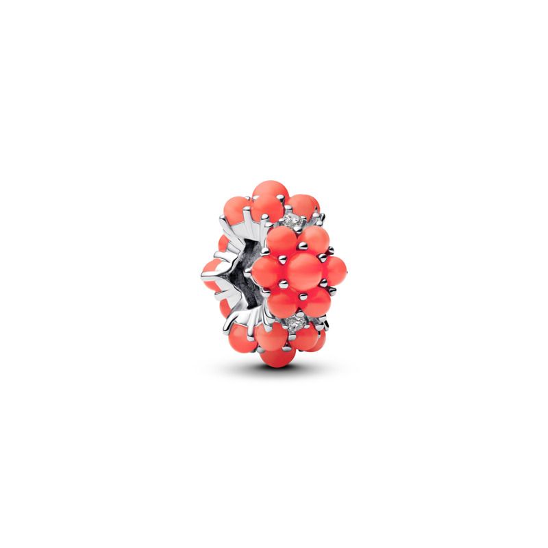 Coral-coloured Ocean Charm