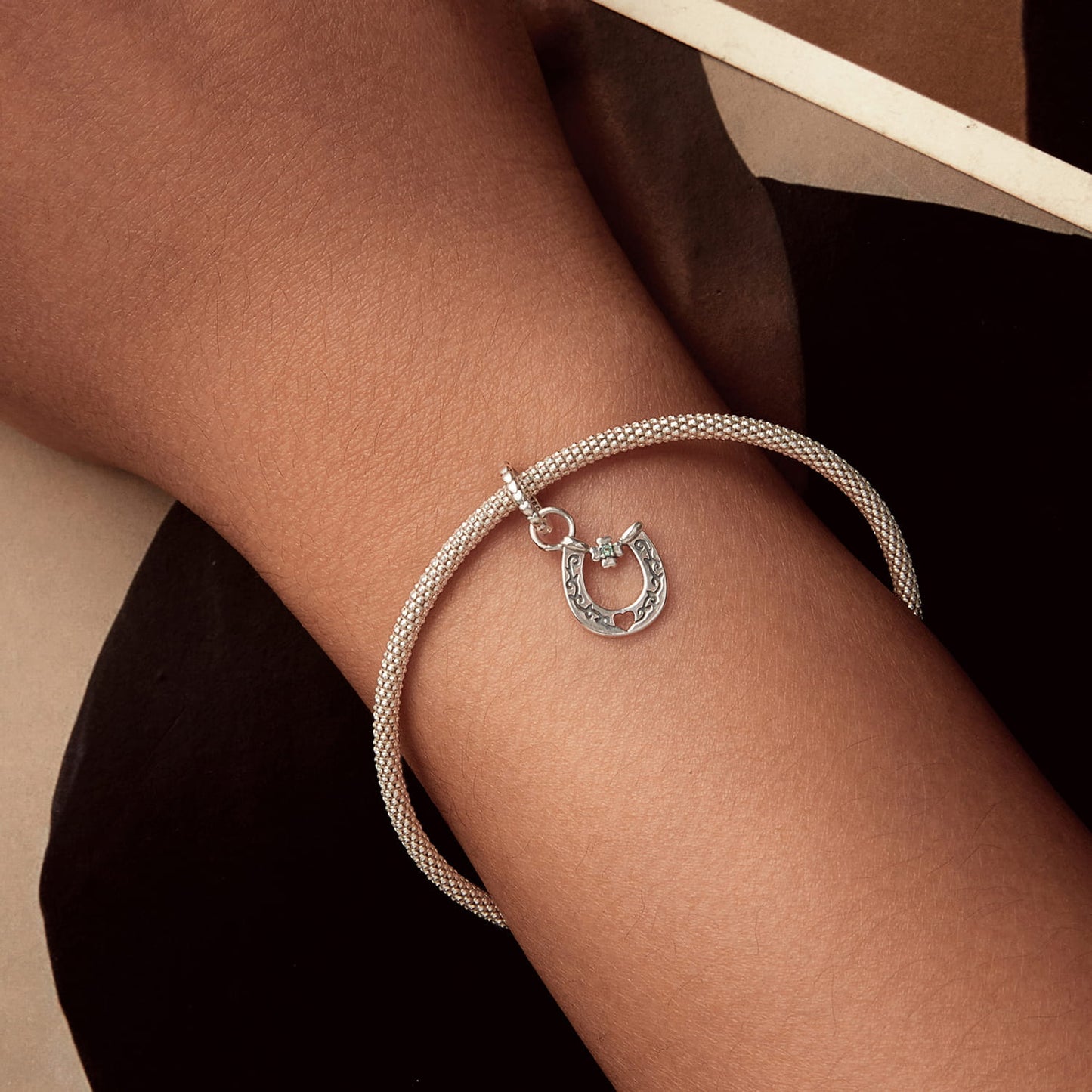 Vintage Horseshoe Dangle Charm