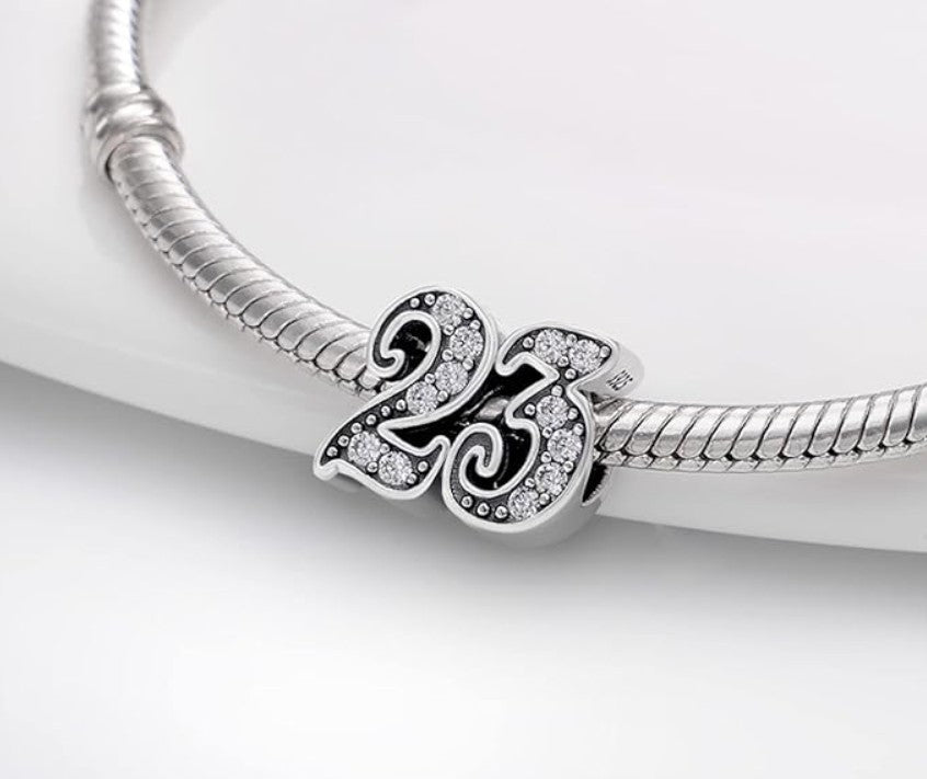 23 Years CZ Bead Charm