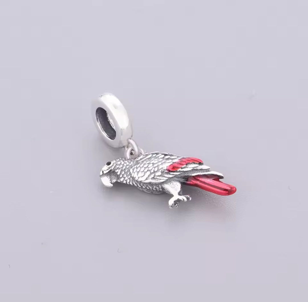 African grey Charm
