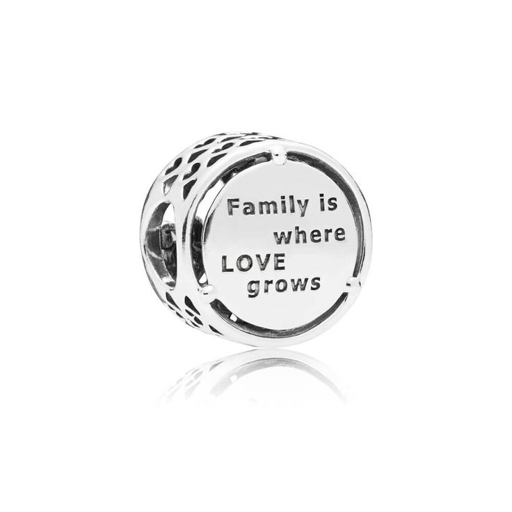 "Family Is Where Love Grows" Bead Charm