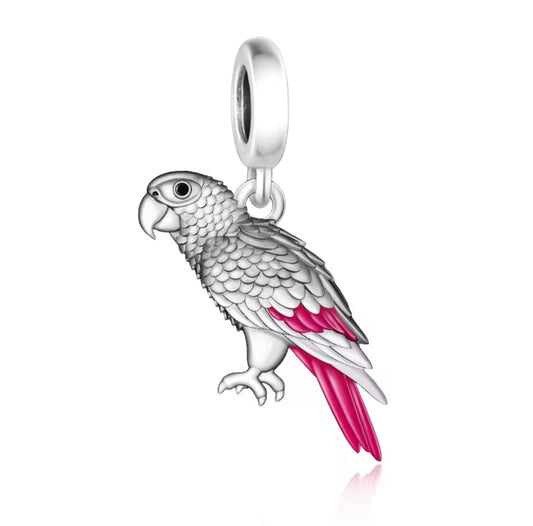 African grey Charm