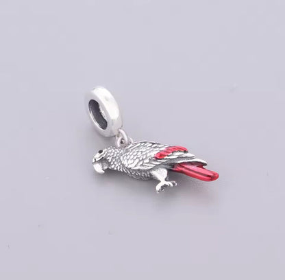 African grey Charm
