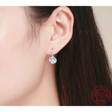 Load image into Gallery viewer, 925 Sterling Silver CZ Bling Dangle Earrings