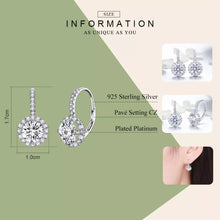 Load image into Gallery viewer, 925 Sterling Silver CZ Bling Dangle Earrings