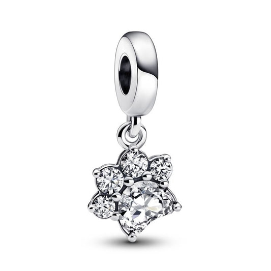 Paw Print On My Heart CZ Dangle Charm